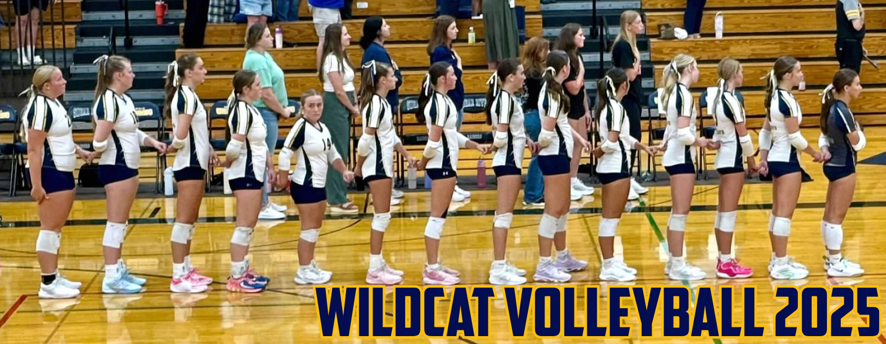 vball_25