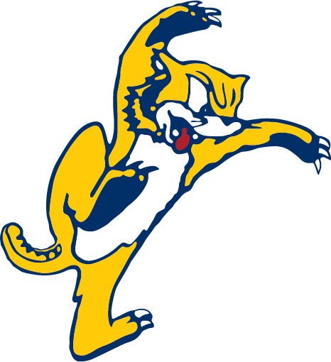 Wilcat